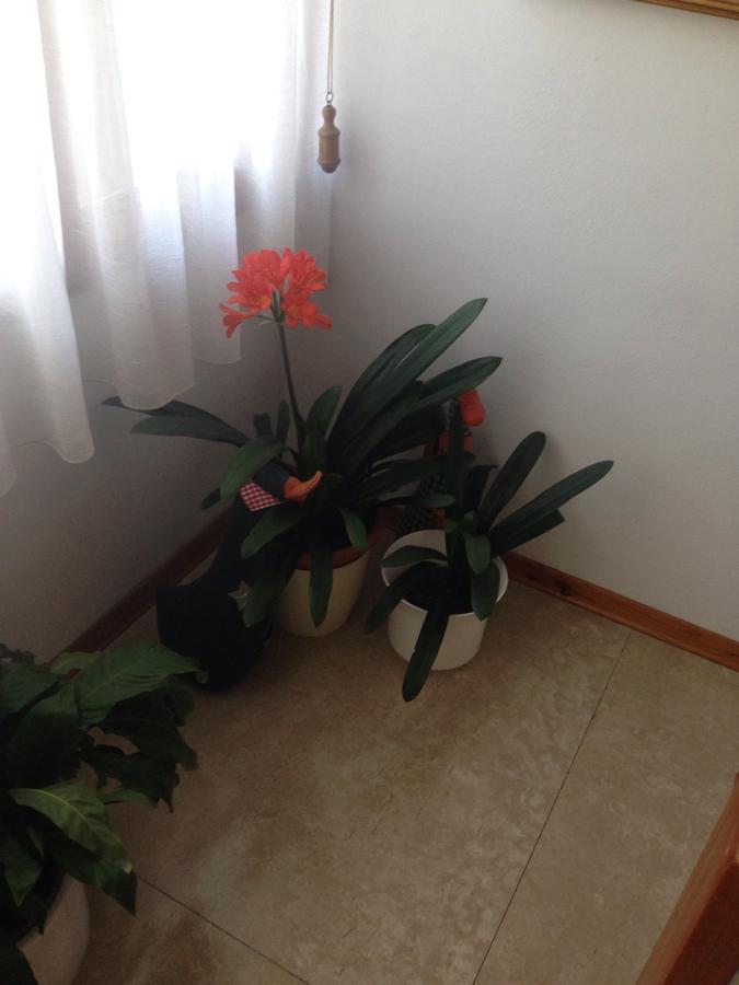 B&B Casa Lisa Miane Kültér fotó
